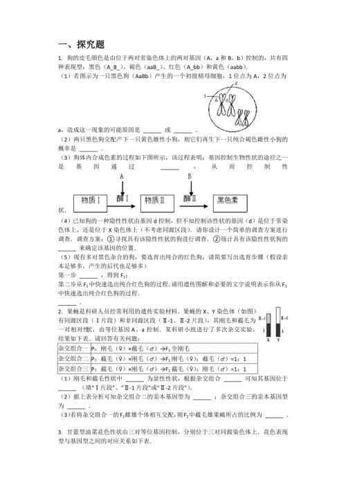 高考遗传题汇总附答案有难度.doc