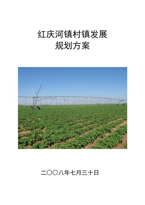 红庆河镇村镇发展规划方案.doc
