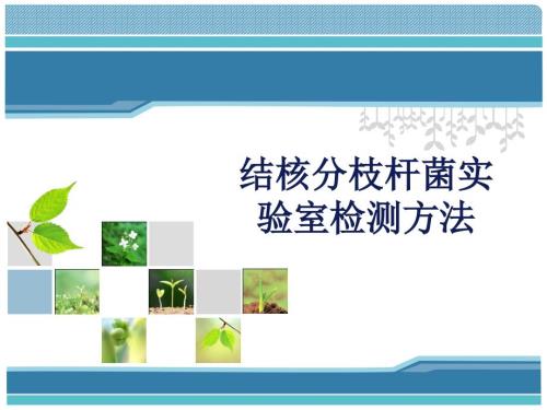 结核分枝杆菌实验室检测方法.ppt