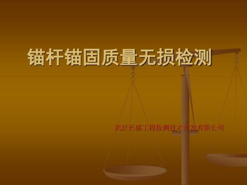 锚杆锚固质量无损检测.ppt
