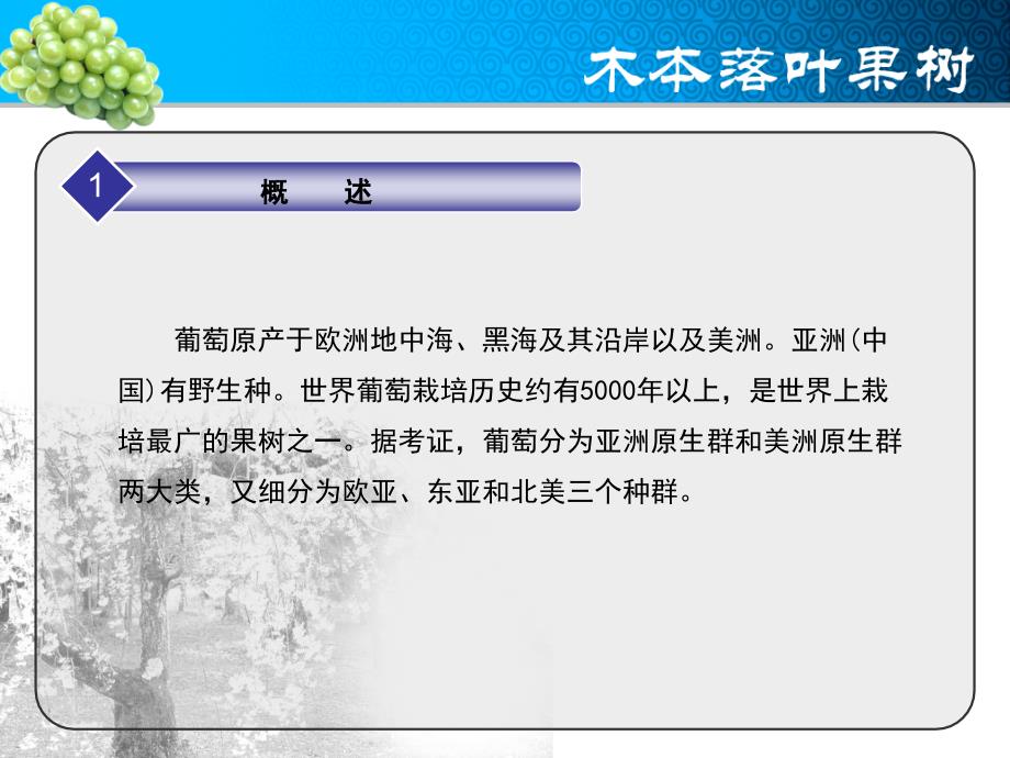 葡萄生产技术.ppt_第3页