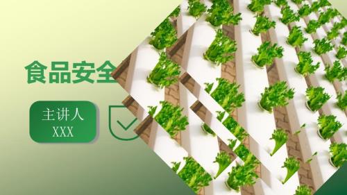 简约绿色企业食品安全知识培训ppt模板.pptx