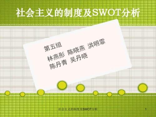 社会主义的制度及SWOT分析课件.ppt