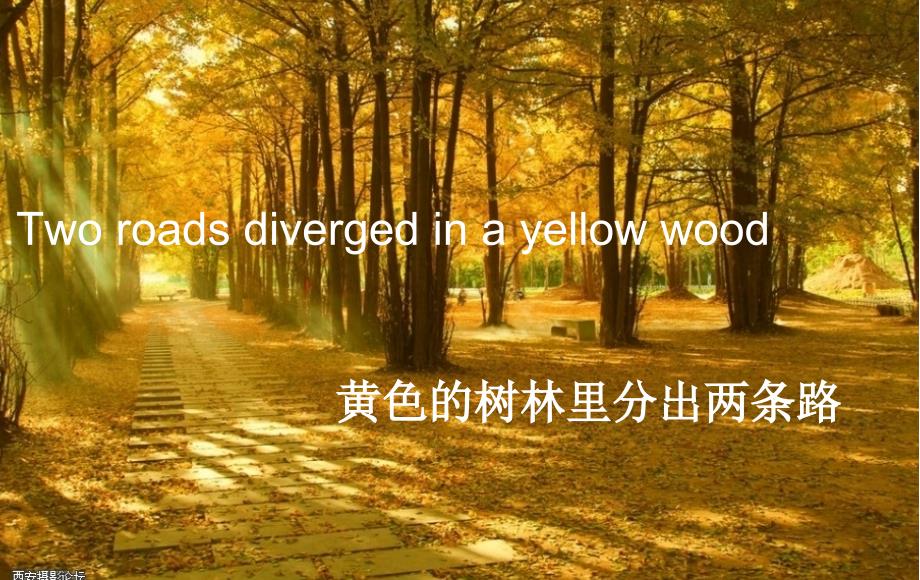 英语诗歌朗诵PPT课件.ppt_第3页
