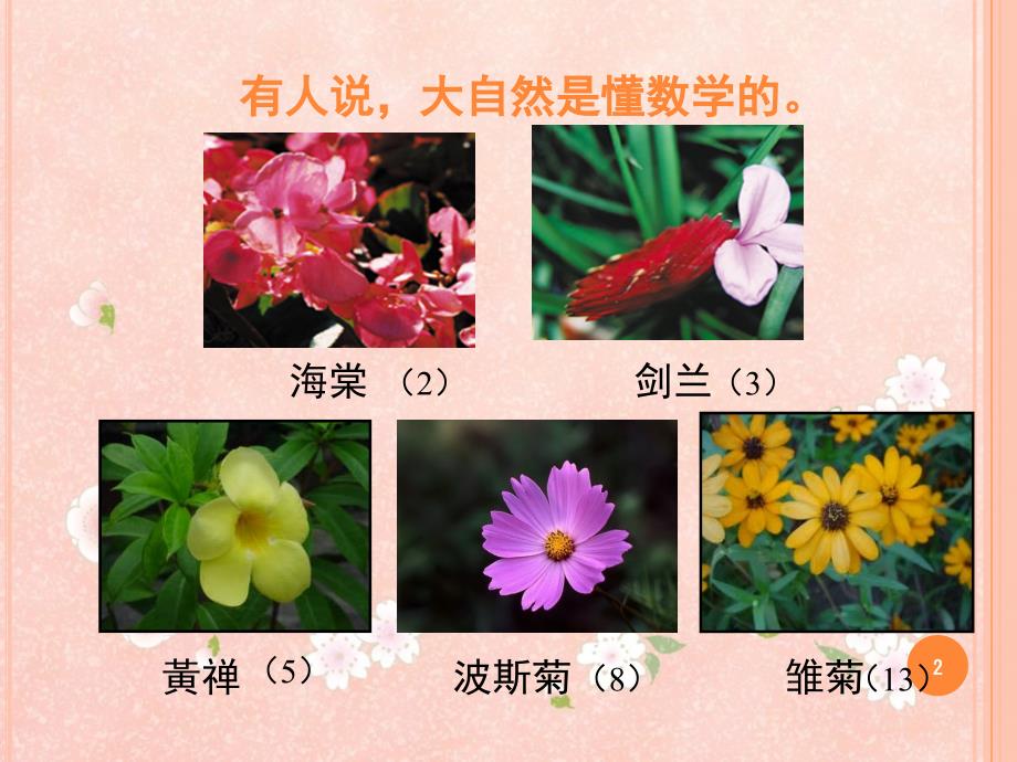 职中数学6.1数列的概念PPT课件.ppt_第2页