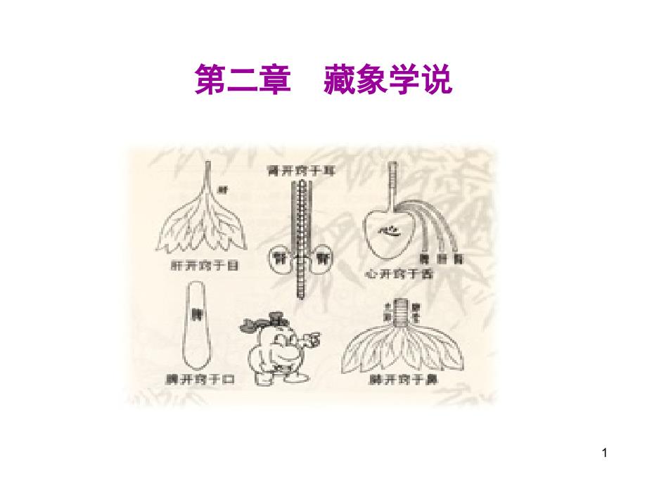 藏象学说课件.ppt_第1页