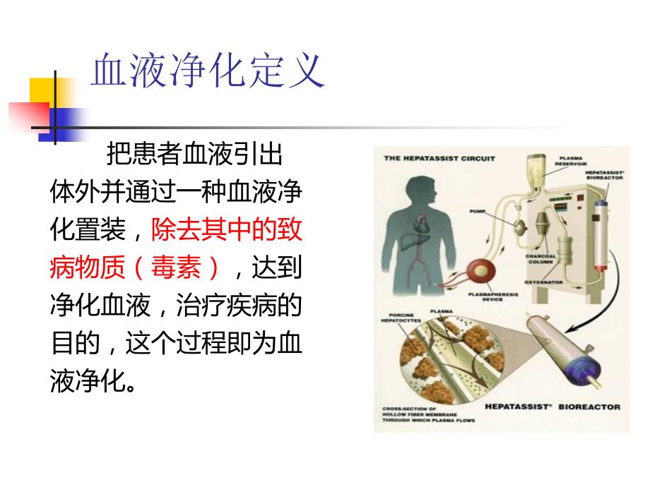 血液净化的概念原理与模式.ppt_第2页