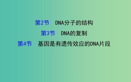 高三生物第一轮复习第3章第24节DNA的分子结构复制基因是有遗传效应的DNA片段课件新人教版必修2.ppt