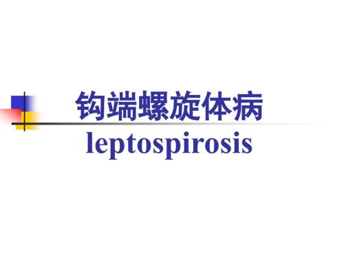 钩端螺旋体病课件.ppt