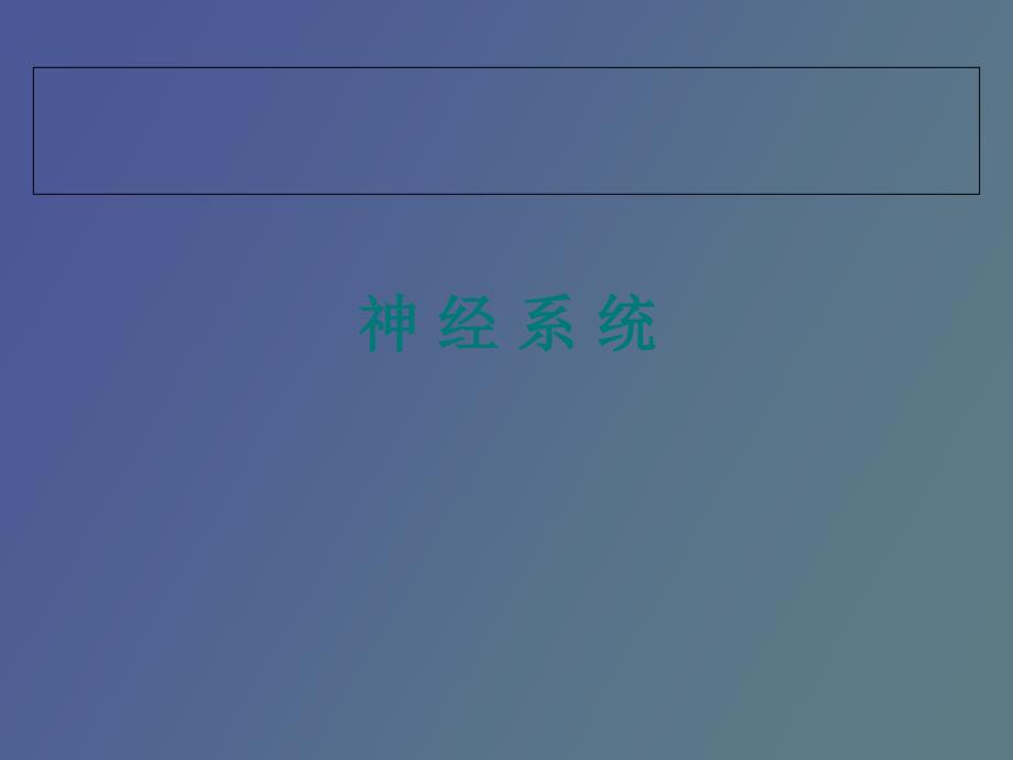 神经系统评估.ppt_第3页