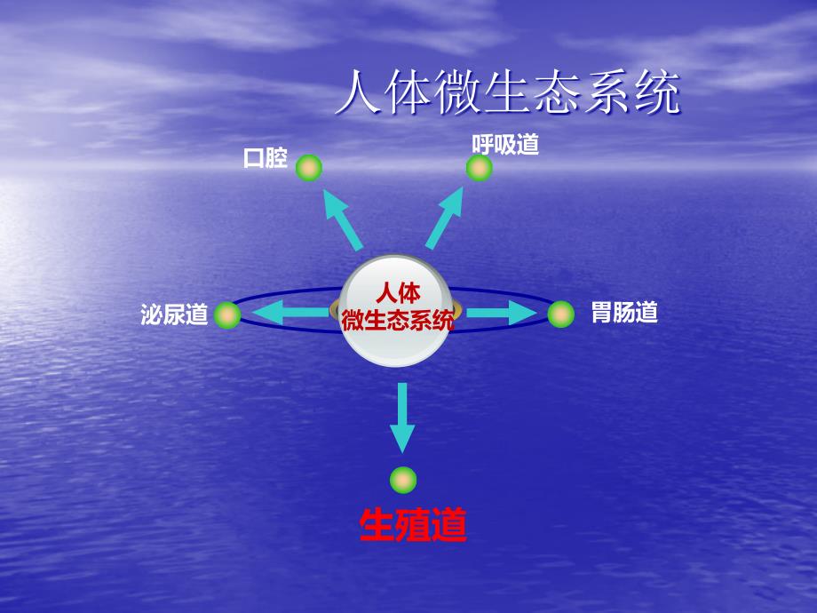 阴道微生态临床应用的新理念PPT课件.ppt_第3页