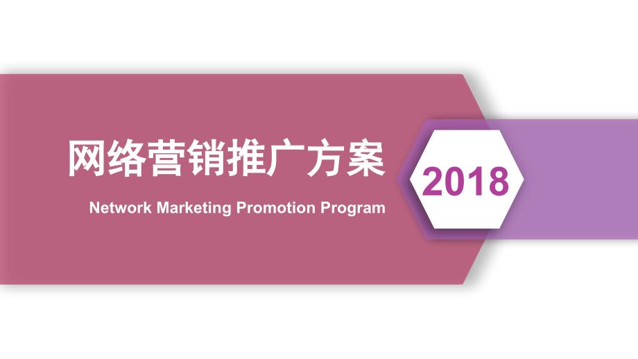 网络推广方案PPT课件.ppt_第1页