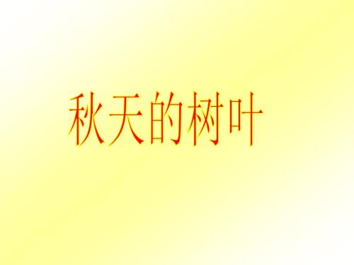 天的树叶PPT课件.ppt