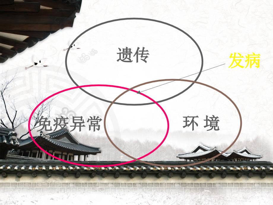 过敏性紫癜护理PPT课件.ppt_第3页