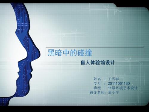 黑暗中的碰撞盲人体验馆设计环艺毕业设计.ppt