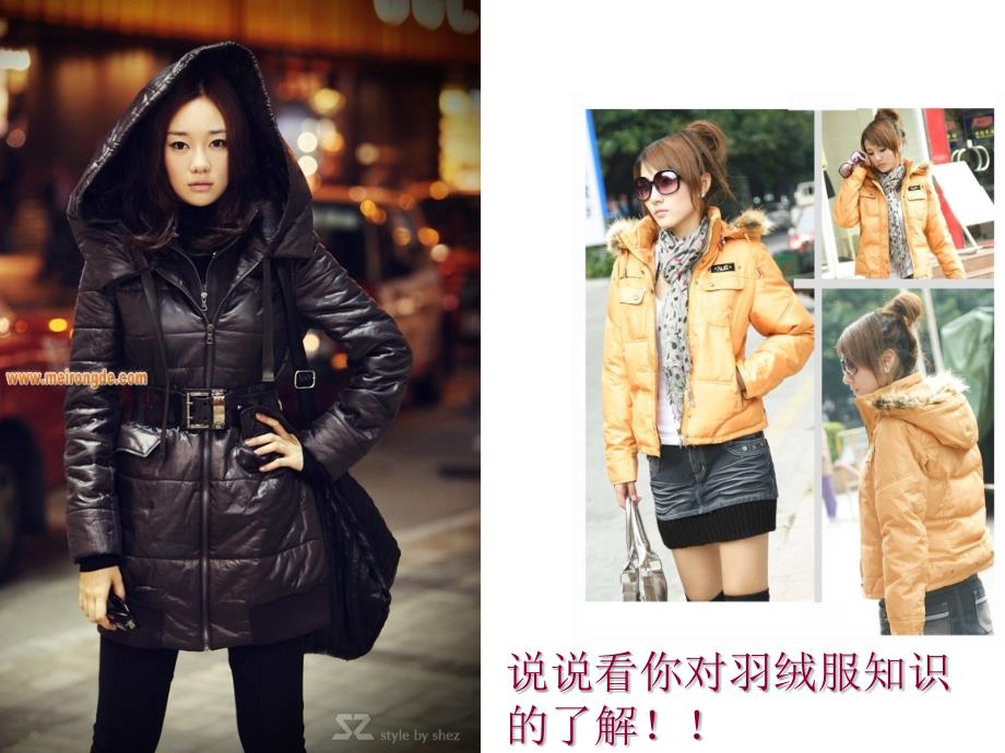 羽绒服的相关常识PPT课件.ppt_第2页