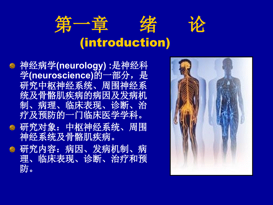 神经病学总论PPT课件.ppt_第2页