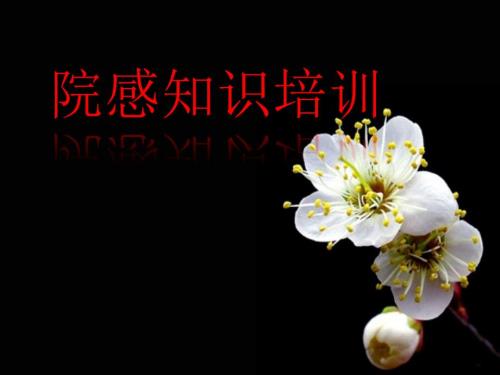 院感知识培训PPT课件.pptx