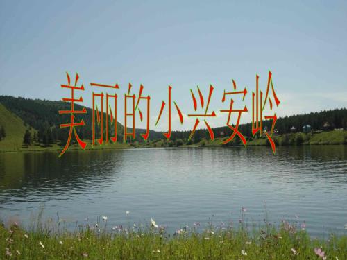美丽的小兴安岭公开课配有教学设计.ppt