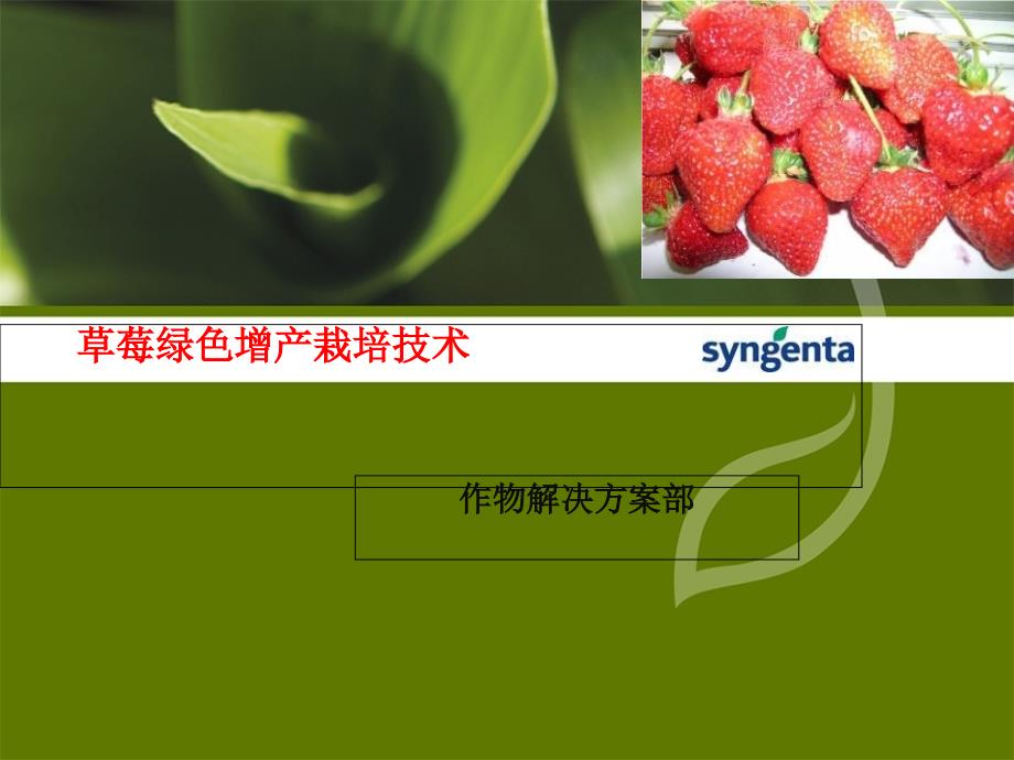 草莓绿色增产技术PPT课件.ppt_第1页