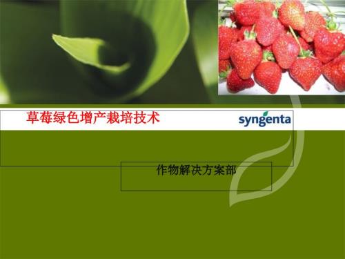 草莓绿色增产技术PPT课件.ppt