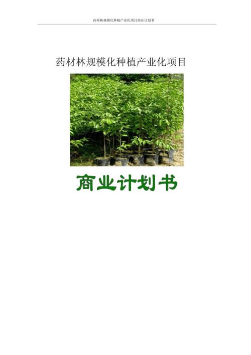 药材林规模化种植产业化项目商业计划书.doc
