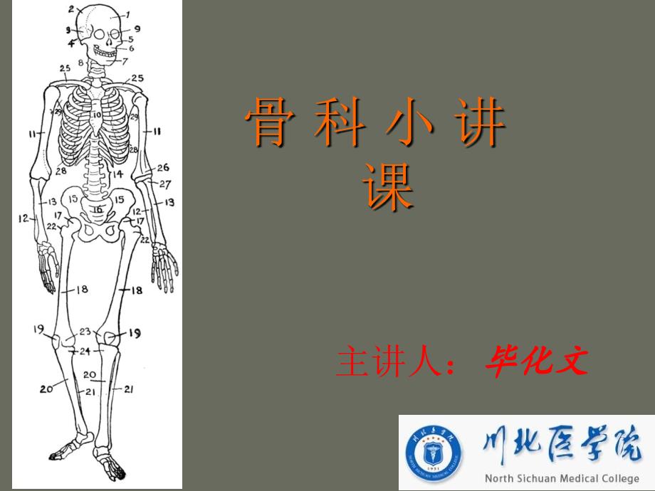 骨科小讲课.ppt_第1页
