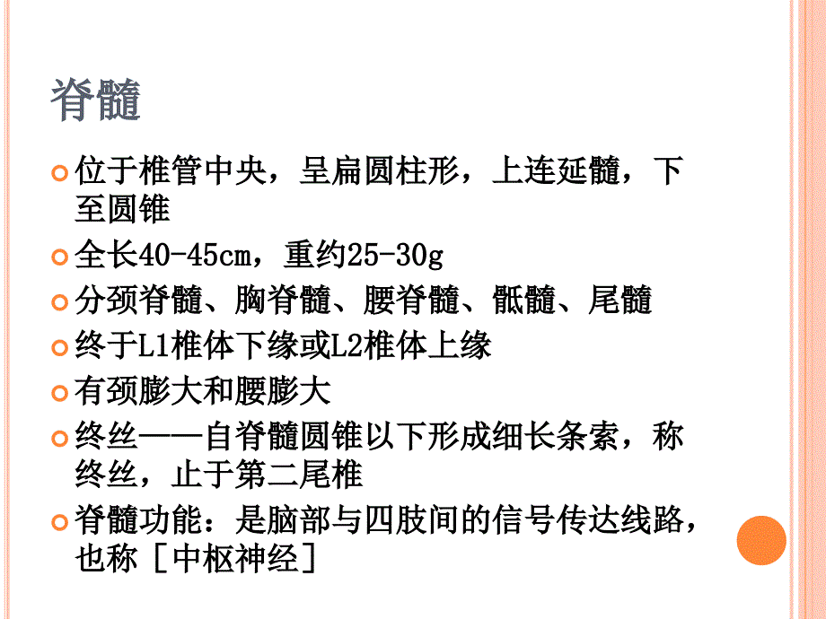 脊髓神经功能评估课件.ppt_第3页
