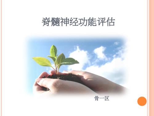脊髓神经功能评估课件.ppt