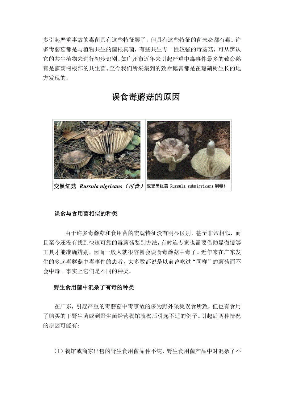预防毒蘑菇中毒宣传手册.docx_第2页
