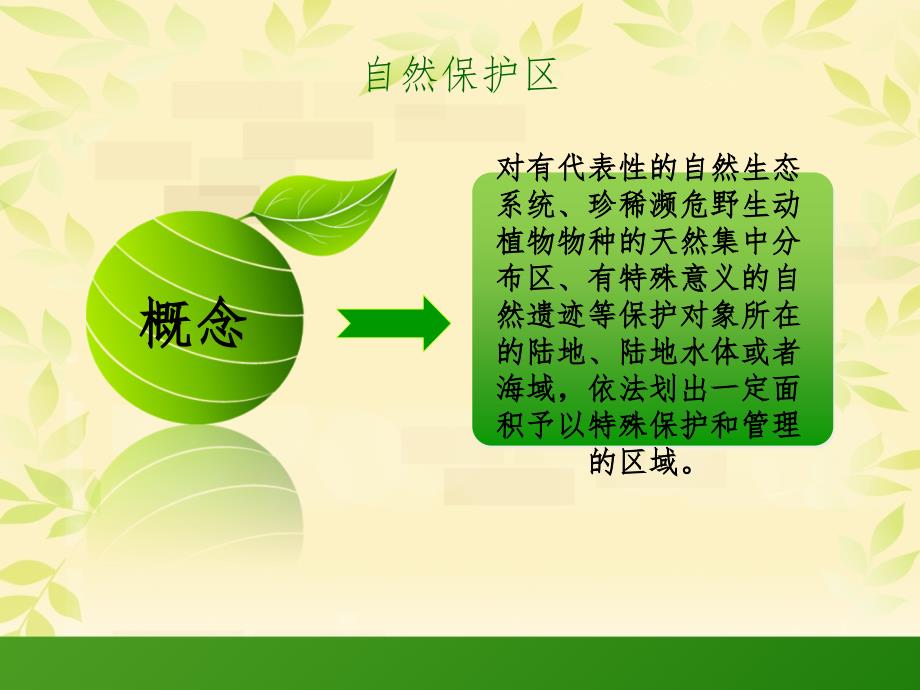 自然保护区PPT课件.ppt_第3页