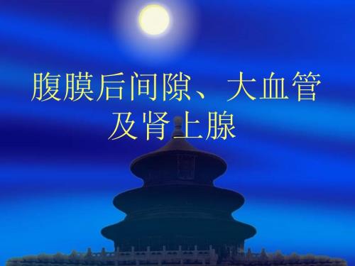 腹膜后大血管及肾上腺的超生诊断PPT课件.ppt