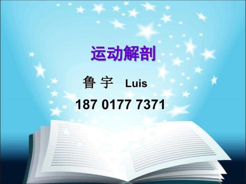 肌肉解剖ppt课件.ppt