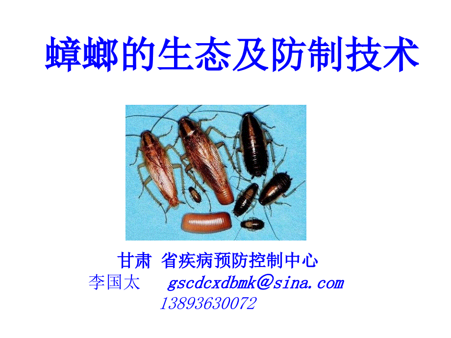 蟑螂的生态危害及防制.ppt_第1页