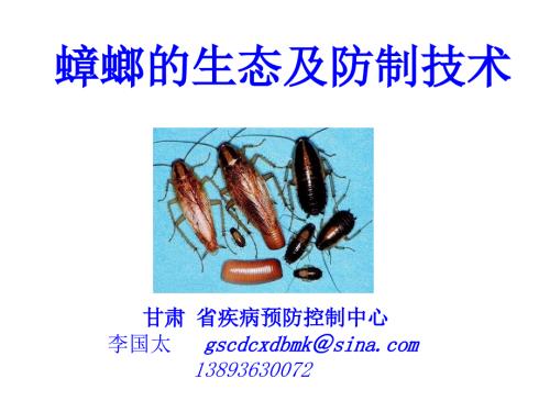蟑螂的生态危害及防制.ppt