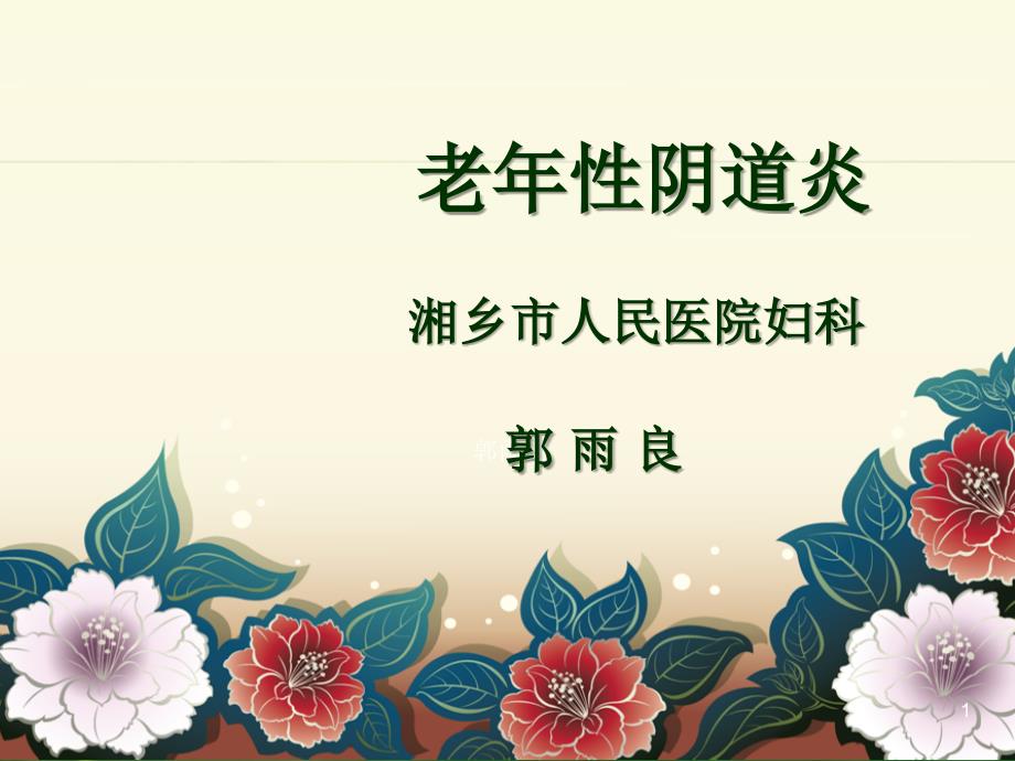 老年性阴道炎ppt课件2.ppt_第1页