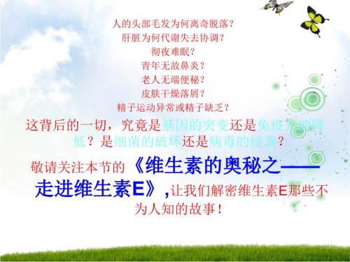 维生素E课件.ppt