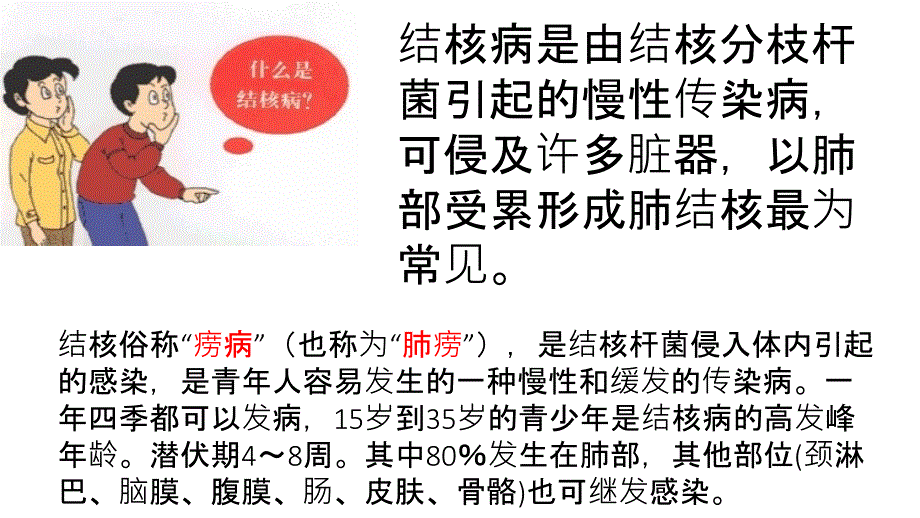 预防结核病PPT.ppt_第2页