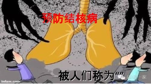 预防结核病PPT.ppt