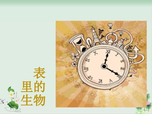 表里的生物PPT课件完美版.ppt