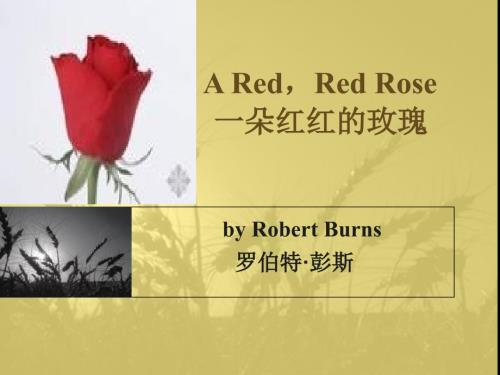 精品课件教案pptaredredrose一朵红红的玫瑰.ppt