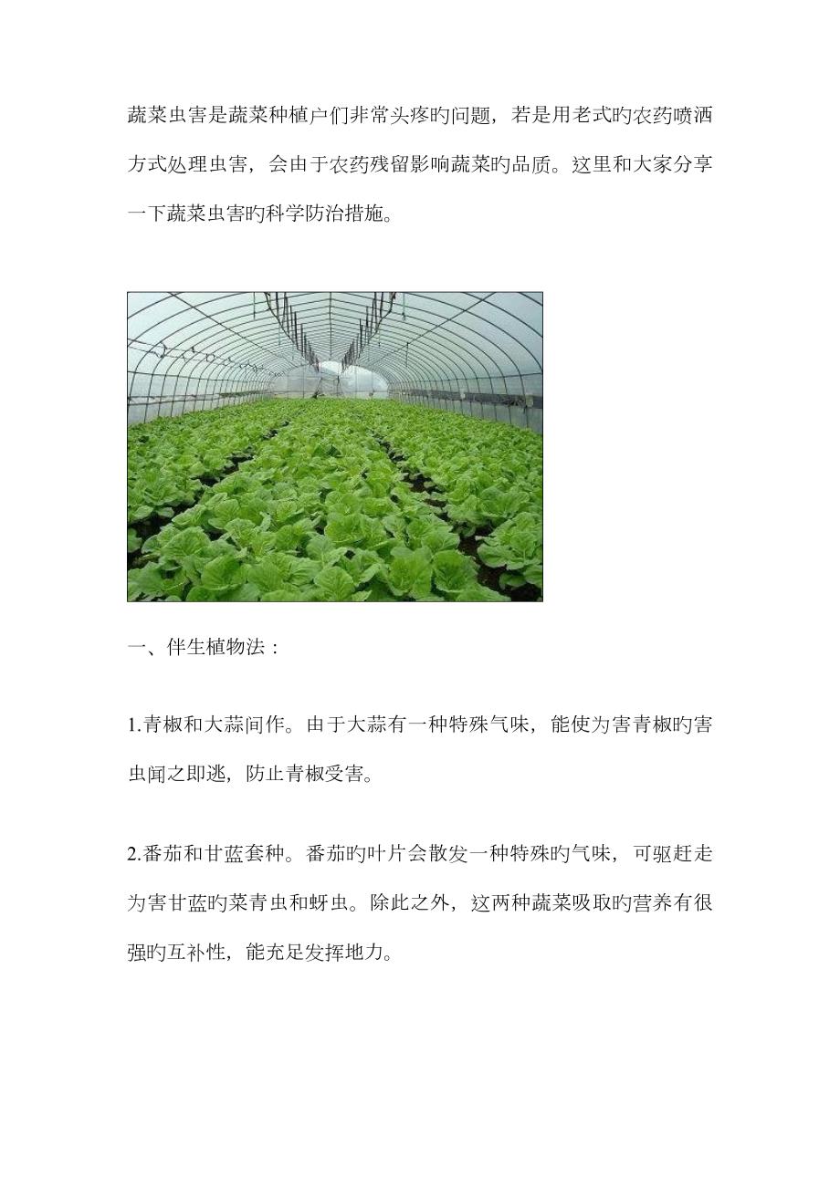 蔬菜病虫害防治.doc_第2页