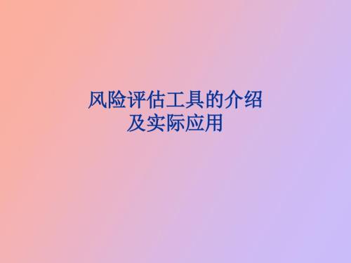 风险评估工具的介绍及实际应用.ppt