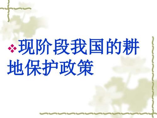 耕地保护政策PPT课件.ppt
