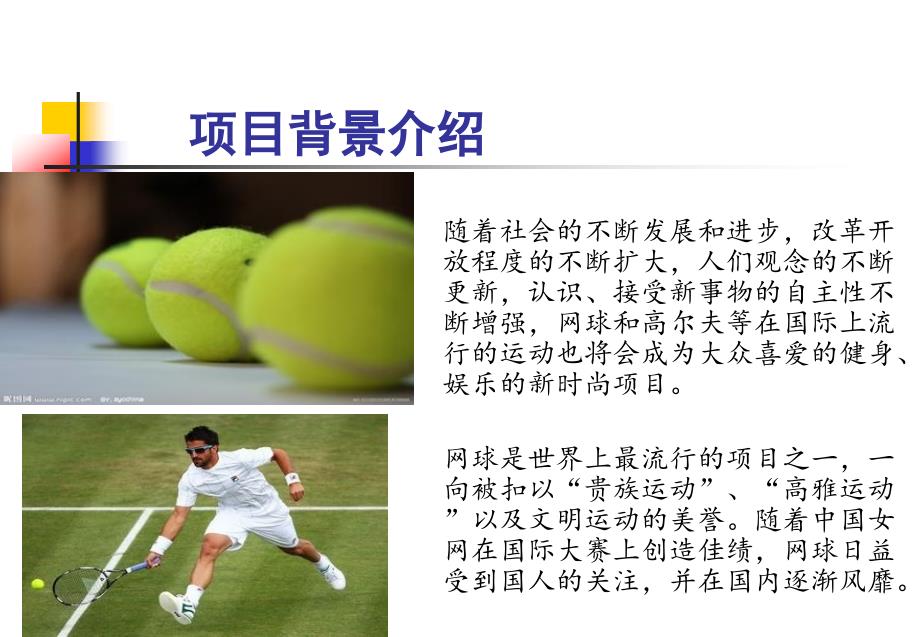 网球练习场项目计划书.ppt_第3页
