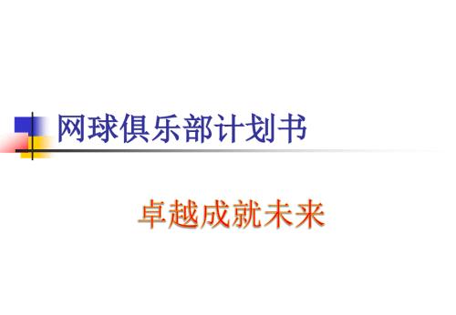 网球练习场项目计划书.ppt