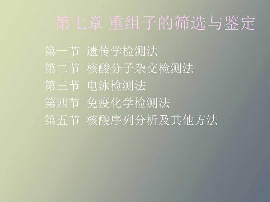 重组子的筛选与鉴定.ppt_第1页