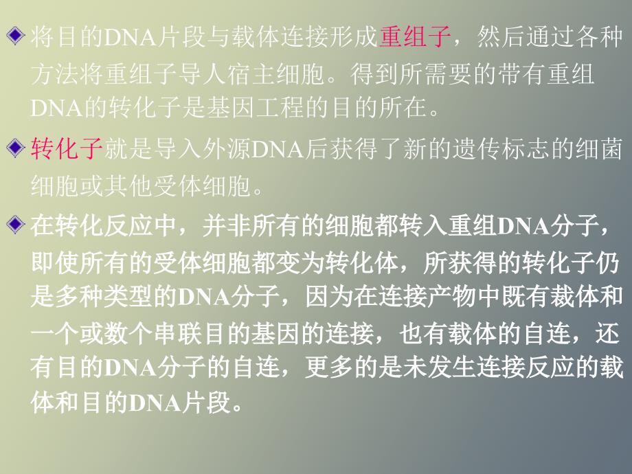 重组子的筛选与鉴定.ppt_第2页