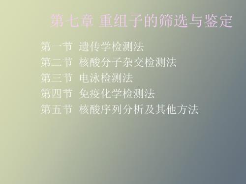 重组子的筛选与鉴定.ppt