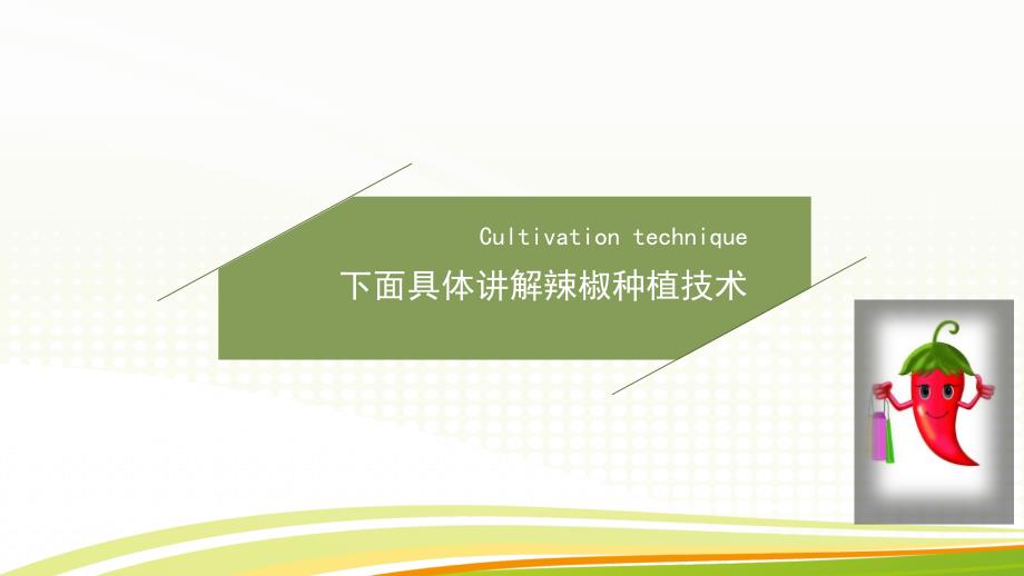 辣椒种植技术PPT课件.ppt_第3页